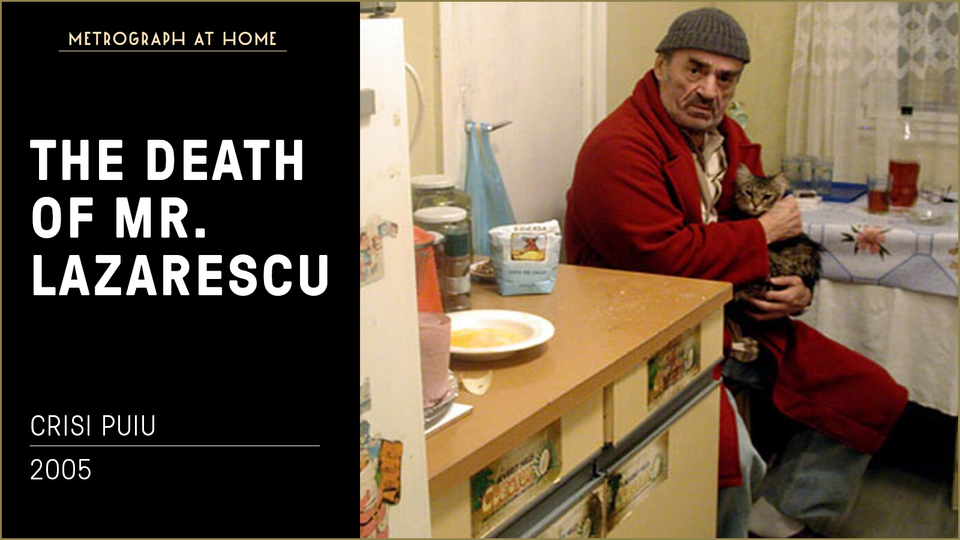 Stream THE DEATH OF MR. LAZARESCU at home