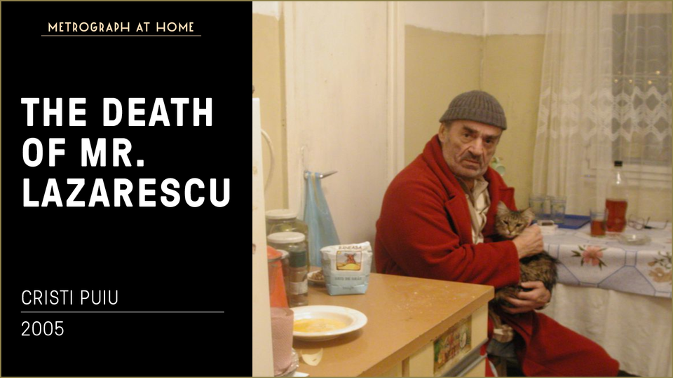 Stream THE DEATH OF MR. LAZARESCU at home