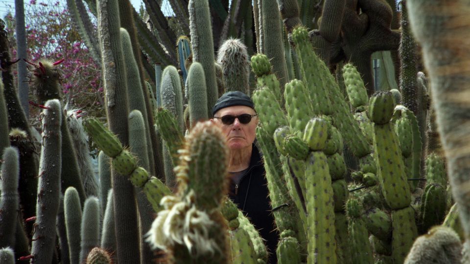 The Cactus of Klaus